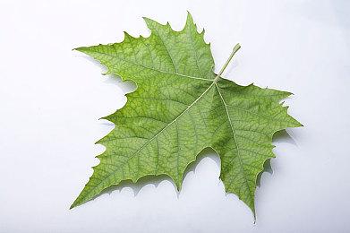 VR射击求生游戏“天花板”——《After the Fall》签约奇遇VR